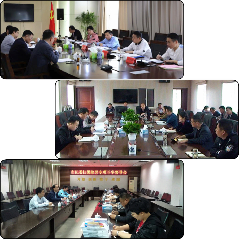 冲着问题“督” 针对问题“导” ——我市开展扫黑除恶专项斗争第二轮联点督导工作